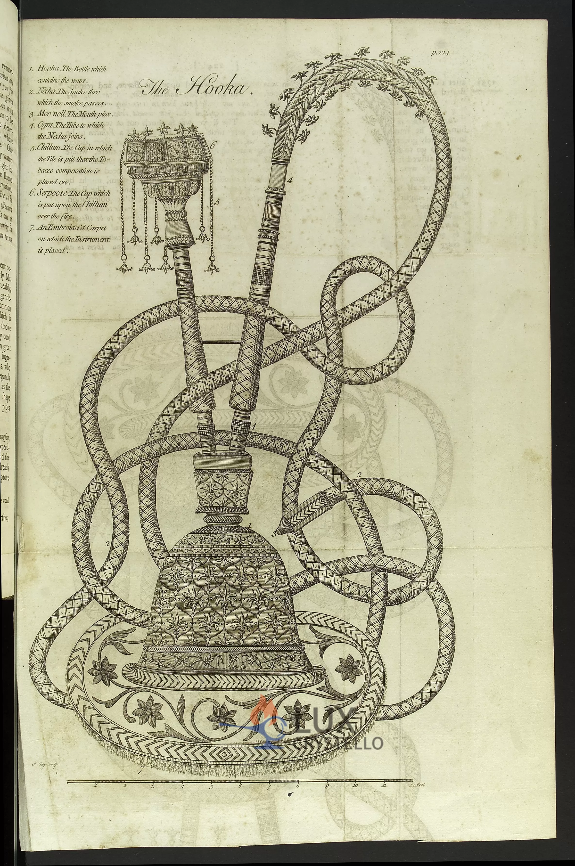 Hookah, tobacco pipe smoked in Bengal Hookah, tobacco pipe smoked in Bengal